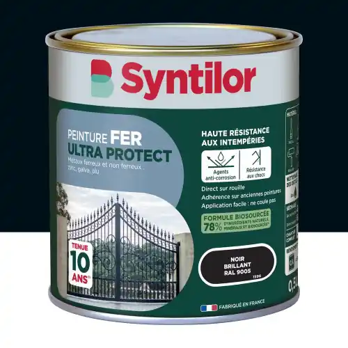 Commander Vite Peinture extérieure fer Ultra protect SYNTILOR noir brillant 0.5L – SYNTILOR