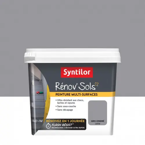 Peinture SYNTILOR, Gris cendré, 0.75 l - SYNTILOR Offre Exclusive