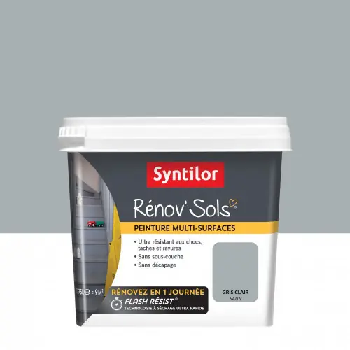 Peinture SYNTILOR, Gris clair, 0.75 l - SYNTILOR Certifié
