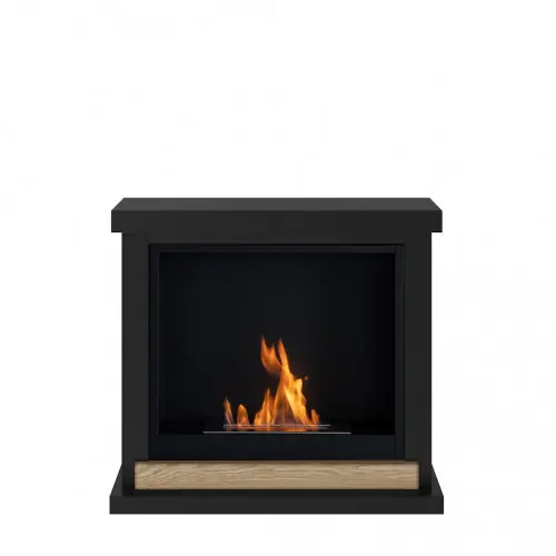 Cheminée bioéthanol – FreeFlame LARSEN – flamme réelle sans conduit – noire – TAGU Commander Vite