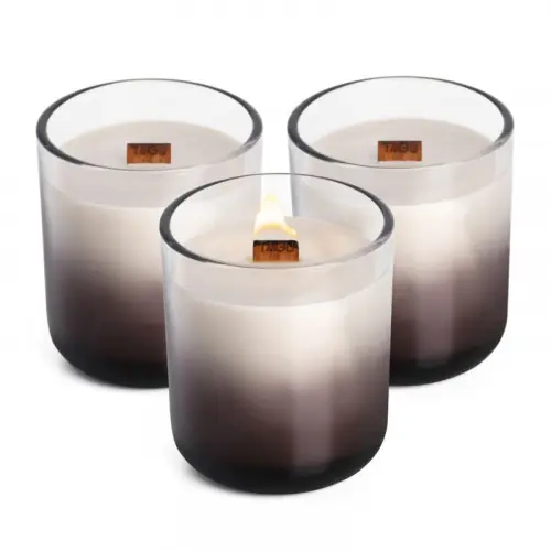 Coffret 3 grandes bougies crépitantes Candleplace – parfum feu de cheminée – autonomie 180h – TAGU Prix Choc