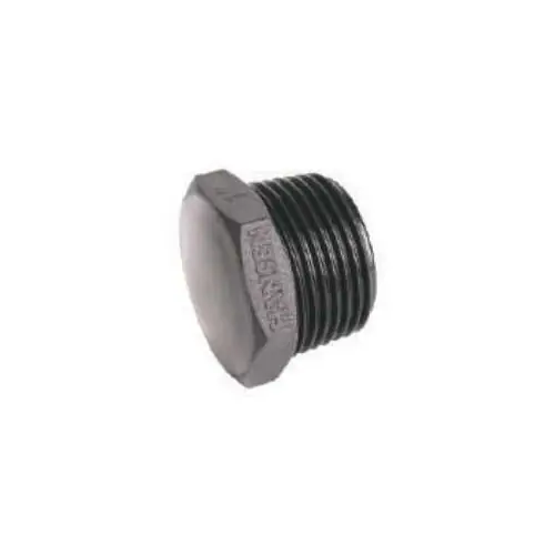Bouchon fileté mâle 2&Prime; – TORO Bon Marché