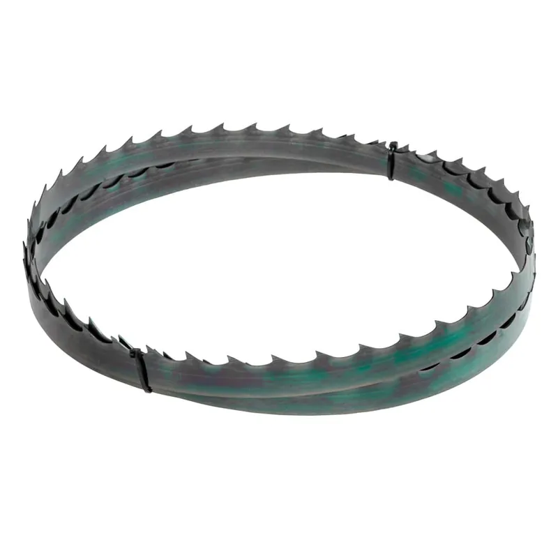 Lame de rechange pour Holzmann BBS550SMART-G Authentique